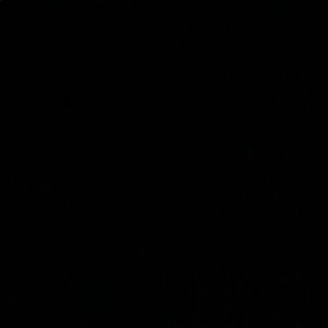 Meet your Posher, Adela